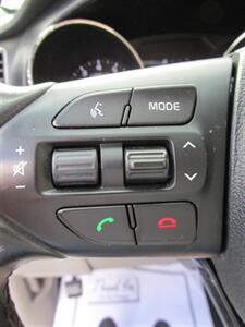 2017 Kia Sedona LX Plus   - Photo 27 - Mishawaka, IN 46545