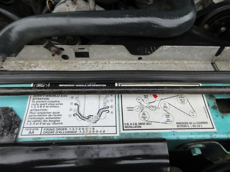 1995 Ford F-150 XLT   - Photo 82 - Bohemia, NY 11716
