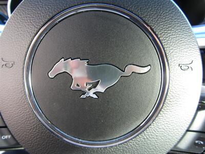 2023 Ford Mustang EcoBoost - Photo 23 - Haddon Twp, NJ 08107