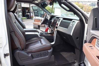 2009 Ford F-150 Platinum   - Photo 29 - Roswell, GA 30075