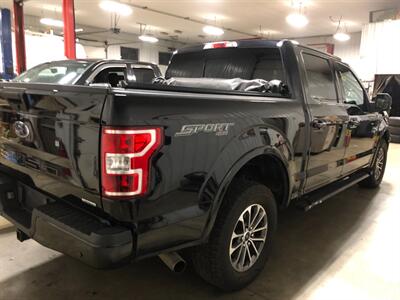 2020 Ford F-150 XLT - Photo 6 - Saint Louis, MI 48880-9800