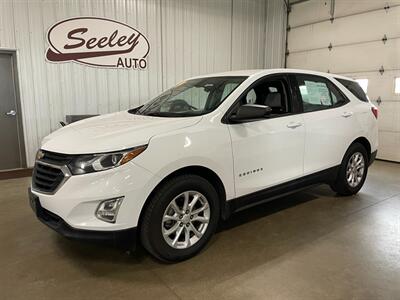 2019 Chevrolet Equinox LS - Photo 1 - Saint Louis, MI 48880-9800