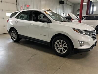 2019 Chevrolet Equinox LS - Photo 5 - Saint Louis, MI 48880-9800