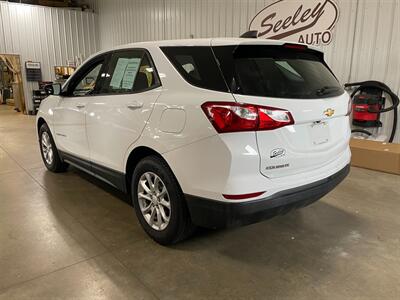2019 Chevrolet Equinox LS - Photo 3 - Saint Louis, MI 48880-9800