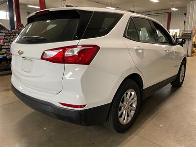 2019 Chevrolet Equinox LS - Photo 6 - Saint Louis, MI 48880-9800