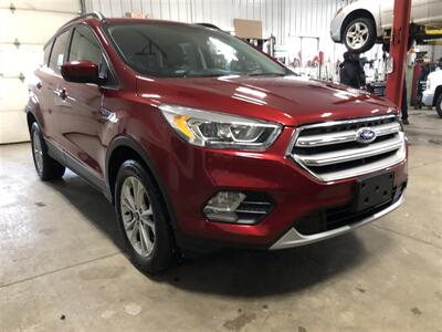 2017 Ford Escape SE   - Photo 4 - Saint Louis, MI 48880-9800