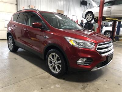 2017 Ford Escape SE   - Photo 5 - Saint Louis, MI 48880-9800