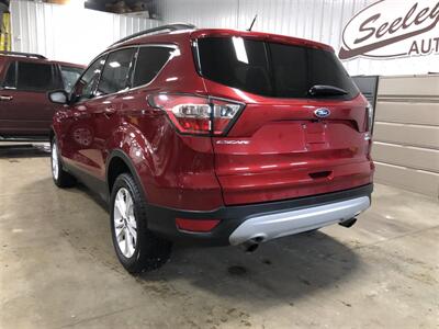 2017 Ford Escape SE   - Photo 3 - Saint Louis, MI 48880-9800