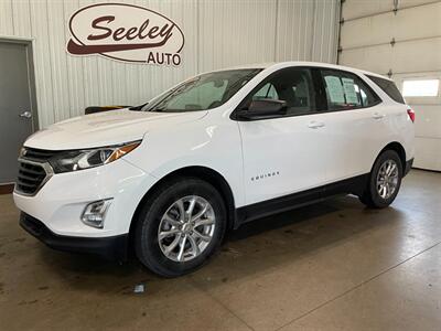 2019 Chevrolet Equinox LS   - Photo 1 - Saint Louis, MI 48880-9800