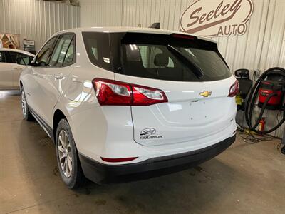 2019 Chevrolet Equinox LS   - Photo 3 - Saint Louis, MI 48880-9800