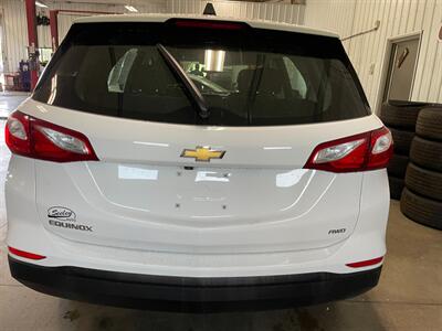 2019 Chevrolet Equinox LS   - Photo 7 - Saint Louis, MI 48880-9800