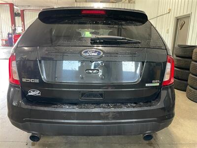 2014 Ford Edge SEL - Photo 6 - Saint Louis, MI 48880-9800