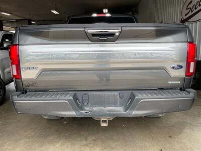 2019 Ford F-150 Platinum - Photo 31 - Saint Louis, MI 48880-9800