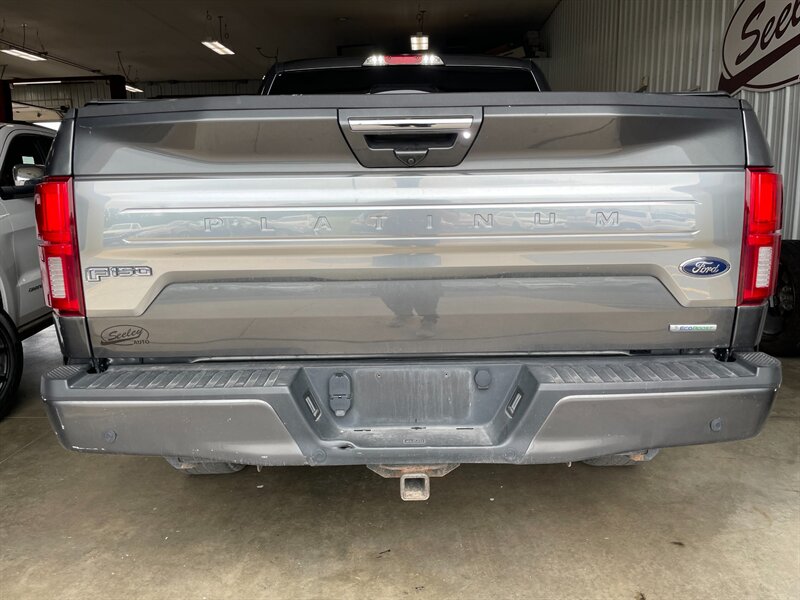 2019 Ford F-150 Platinum - Photo 31 - Saint Louis, MI 48880-9800