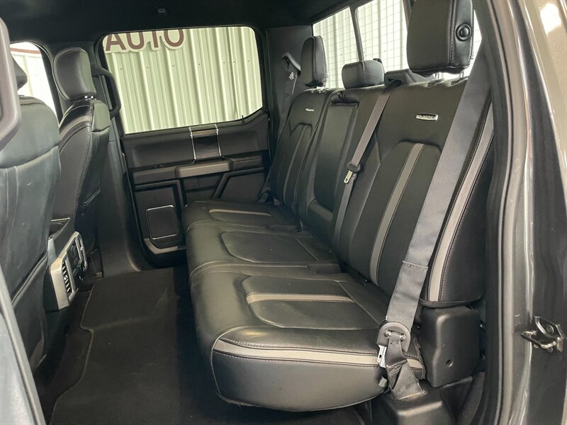2019 Ford F-150 Platinum - Photo 21 - Saint Louis, MI 48880-9800