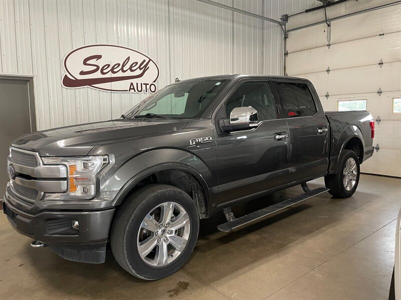 2019 Ford F-150 Platinum   - Photo 1 - Saint Louis, MI 48880-9800