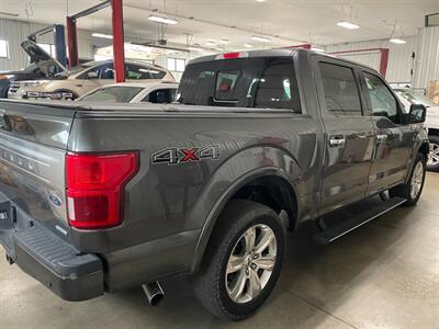 2019 Ford F-150 Platinum - Photo 6 - Saint Louis, MI 48880-9800