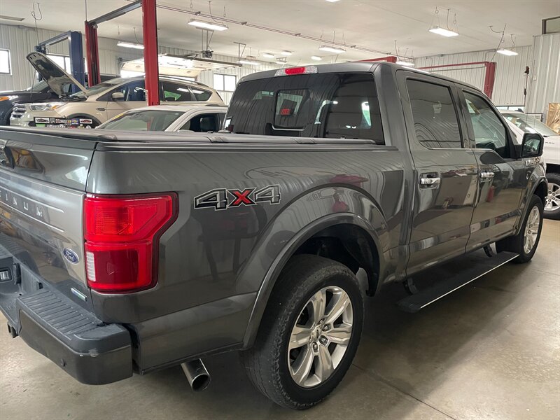 2019 Ford F-150 Platinum - Photo 6 - Saint Louis, MI 48880-9800