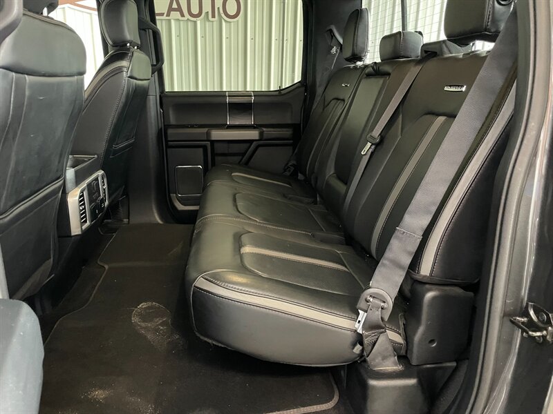 2019 Ford F-150 Platinum - Photo 20 - Saint Louis, MI 48880-9800