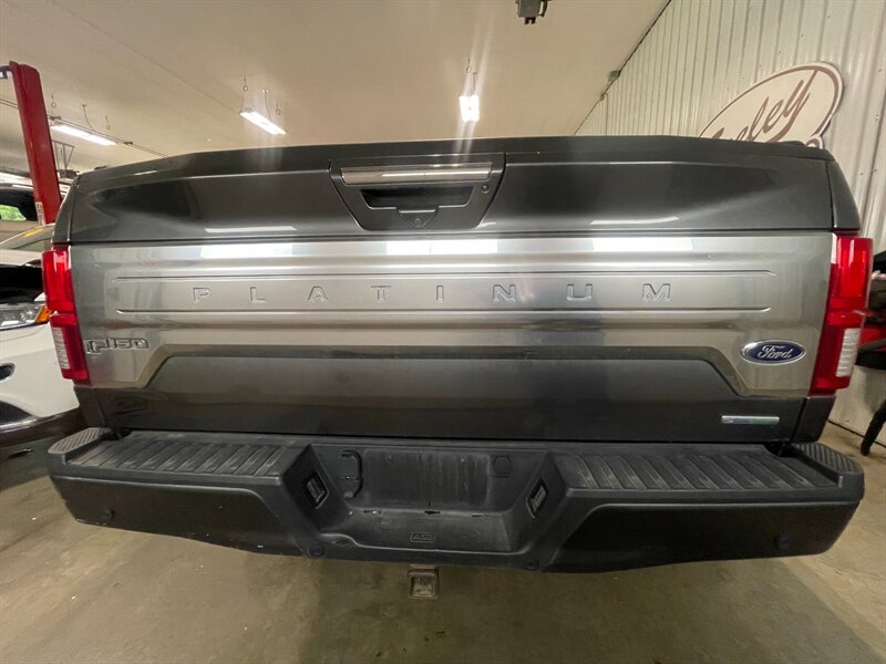 2019 Ford F-150 Platinum - Photo 7 - Saint Louis, MI 48880-9800
