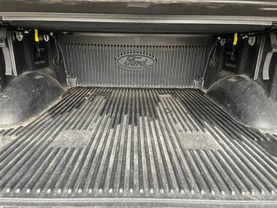 2019 Ford F-150 Platinum - Photo 29 - Saint Louis, MI 48880-9800