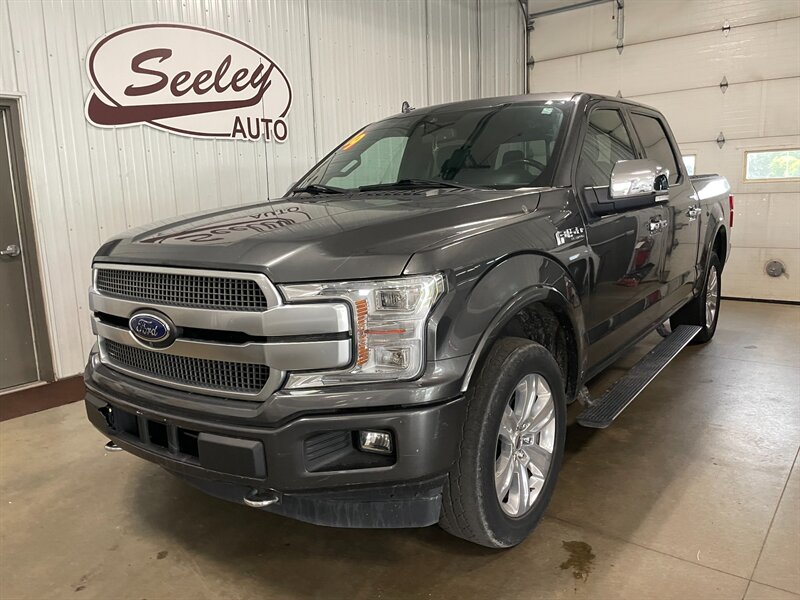 2019 Ford F-150 Platinum - Photo 2 - Saint Louis, MI 48880-9800