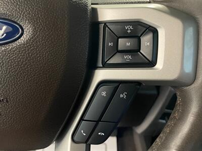 2020 Ford F-150 king ranch   - Photo 13 - Saint Louis, MI 48880-9800