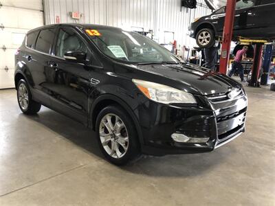 2013 Ford Escape SEL   - Photo 5 - Saint Louis, MI 48880-9800