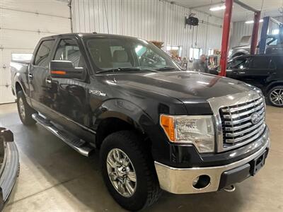 2012 Ford F-150 XLT - Photo 3 - Saint Louis, MI 48880-9800