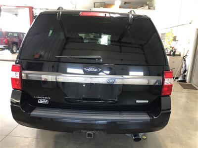 2017 Ford Expedition Limited   - Photo 30 - Saint Louis, MI 48880-9800