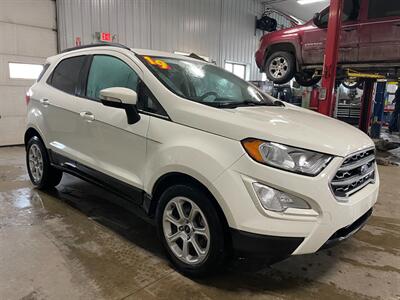 2019 Ford EcoSport SE - Photo 5 - Saint Louis, MI 48880-9800