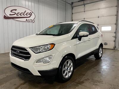 2019 Ford EcoSport SE - Photo 2 - Saint Louis, MI 48880-9800