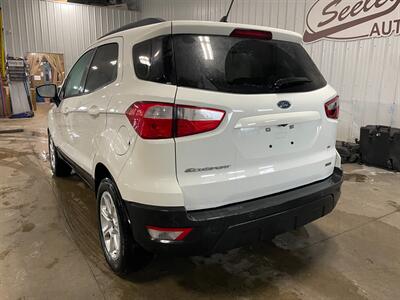 2019 Ford EcoSport SE - Photo 3 - Saint Louis, MI 48880-9800