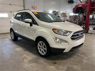 2019 Ford EcoSport SE   - Photo 3 - Saint Louis, MI 48880-9800