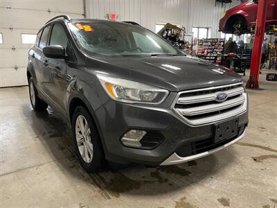 2018 Ford Escape SE   - Photo 3 - Saint Louis, MI 48880-9800