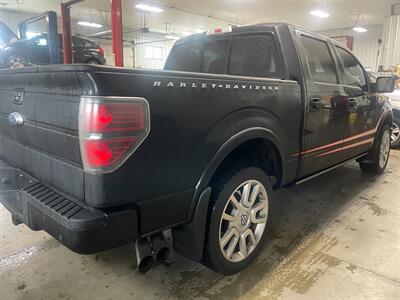 2011 Ford F-150 Harley-Davidson   - Photo 5 - Saint Louis, MI 48880-9800