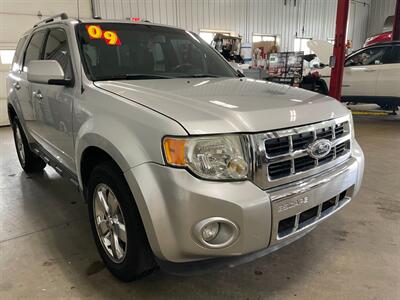 2009 Ford Escape Limited   - Photo 4 - Saint Louis, MI 48880-9800