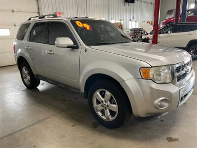 2009 Ford Escape Limited   - Photo 5 - Saint Louis, MI 48880-9800