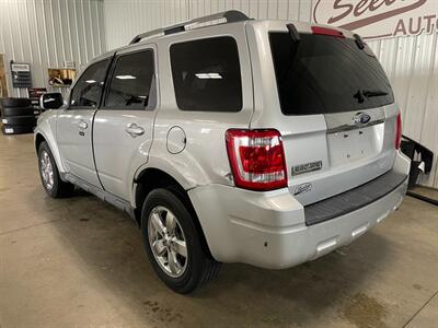 2009 Ford Escape Limited   - Photo 3 - Saint Louis, MI 48880-9800