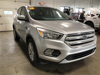 2019 Ford Escape SE   - Photo 4 - Saint Louis, MI 48880-9800