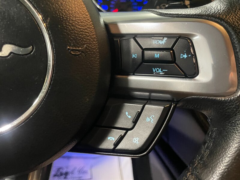 2016 Ford Mustang EcoBoost - Photo 11 - Saint Louis, MI 48880-9800