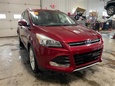 2015 Ford Escape Titanium - Photo 4 - Saint Louis, MI 48880-9800