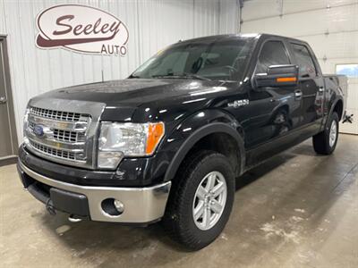2014 Ford F-150 XLT   - Photo 1 - Saint Louis, MI 48880-9800
