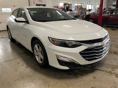 2021 Chevrolet Malibu LS - Photo 3 - Saint Louis, MI 48880-9800