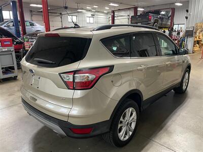 2018 Ford Escape SE - Photo 5 - Saint Louis, MI 48880-9800