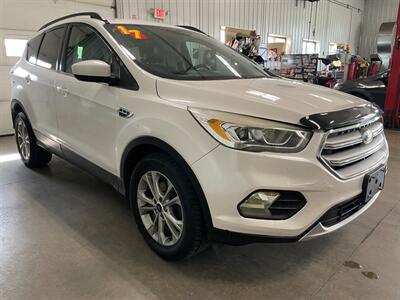 2017 Ford Escape SE - Photo 5 - Saint Louis, MI 48880-9800