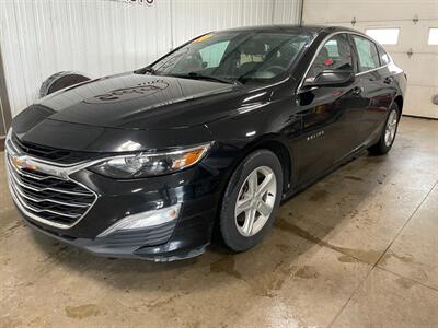 2020 Chevrolet Malibu LS Fleet   - Photo 2 - Saint Louis, MI 48880-9800