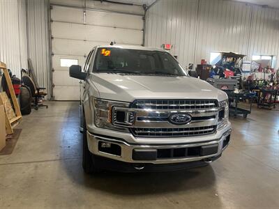 2019 Ford F-150 XLT - Photo 4 - Saint Louis, MI 48880-9800