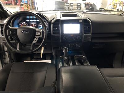 2019 Ford F-150 XLT   - Photo 8 - Saint Louis, MI 48880-9800
