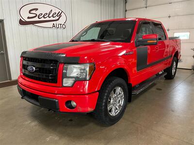 2013 Ford F-150 FX4   - Photo 2 - Saint Louis, MI 48880-9800